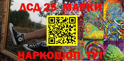 стафф Донецк