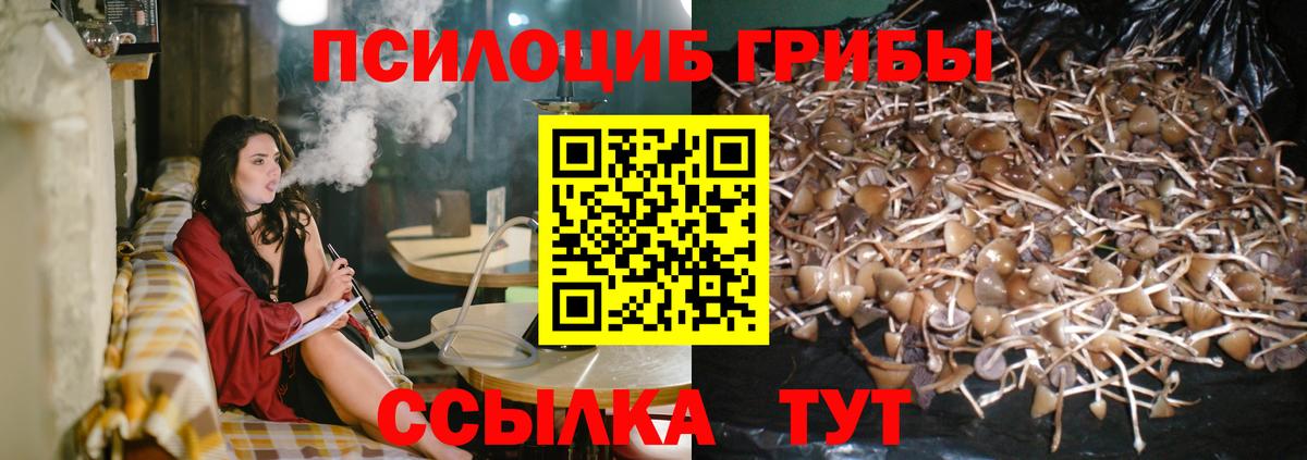 Псилоцибиновые грибы GOLDEN TEACHER Лянтор